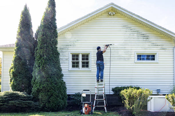 Best Residential Pressure Washing Services  in Rosedale, LA